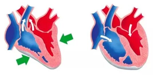 Blutforde normalizes the work of the heart and blood vessels